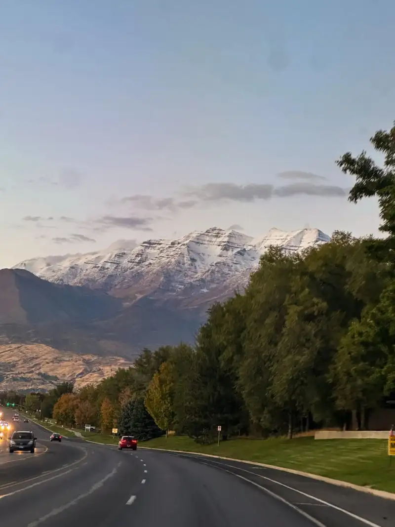 麥卡利斯特本場數據：梅開二度，4射2正，1次失良機，3搶斷