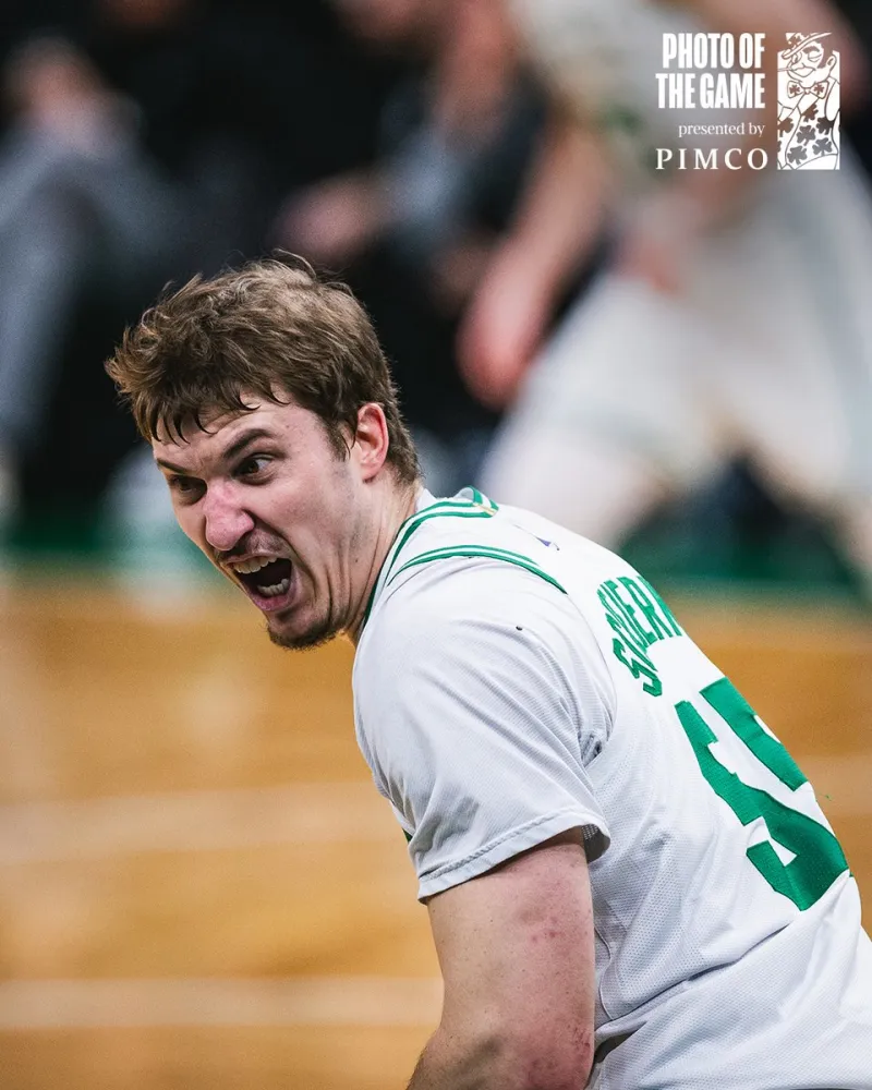 >樂魚app官方下載入口電腦最新版