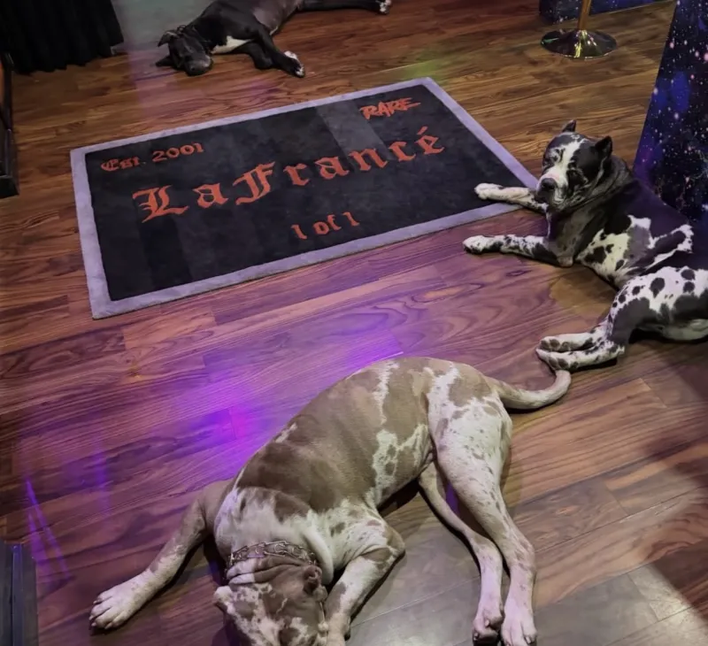 [流言板]美媒發問：文班生涯能獲得5次DPOY打破歷史紀錄，你同意嗎？