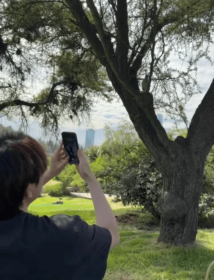 kaiyun體育手機(jī)版登陸截圖2