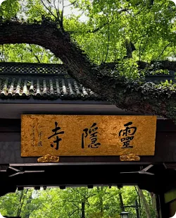 灵隐寺搞免票预约，被38万“鸽王”上了一课