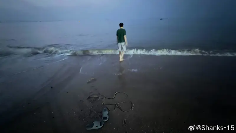 苏挑杯第二轮